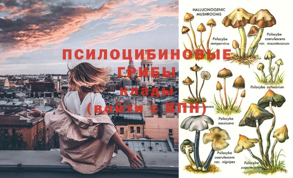 трава Верея